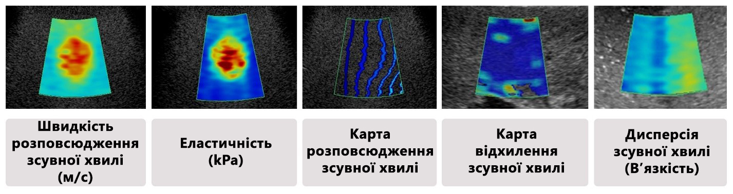 Liver Package - 5 интеллектуальных карт